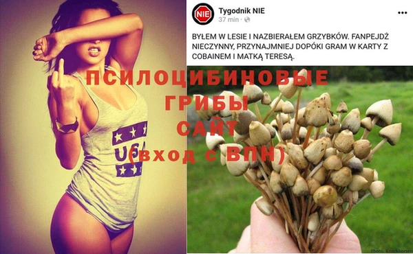 спиды Абаза