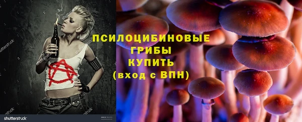ПСИЛОЦИБИНОВЫЕ ГРИБЫ Абдулино