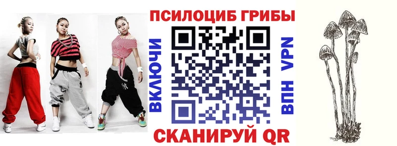 Галлюциногенные грибы мицелий  наркота  Пудож 