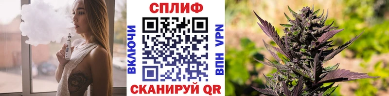 Каннабис сатива  Пудож 